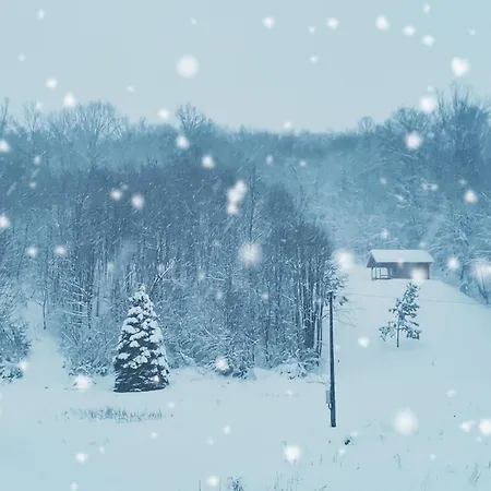 Brvnara Aranđelovac