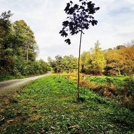 Brvnara Aranđelovac